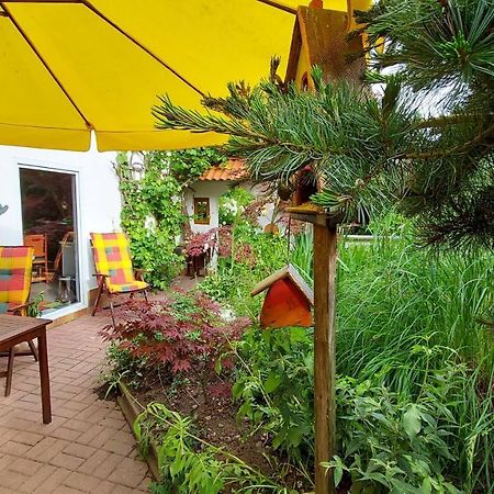 Ferienhaus Julchen Samtens Εξωτερικό φωτογραφία